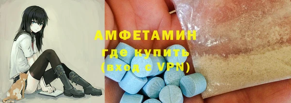 индика Вязники