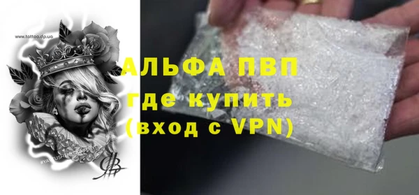 прущие грибы Вяземский