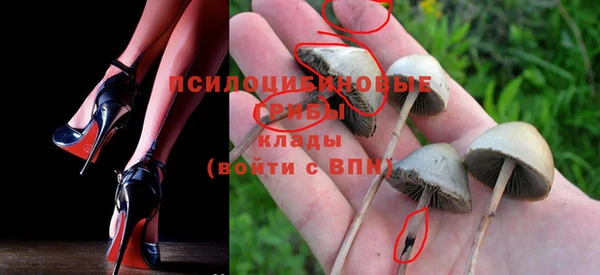 индика Вязники
