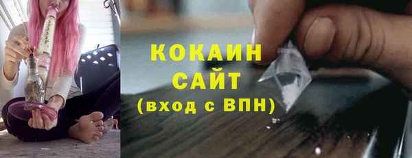 индика Вязники