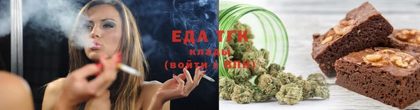 прущие грибы Вяземский