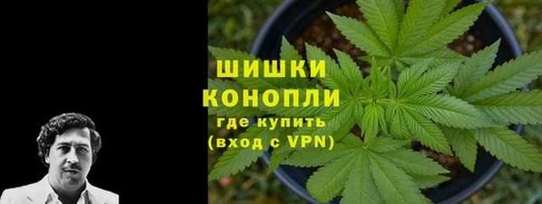 индика Вязники