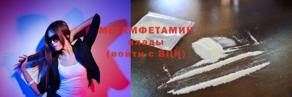 прущие грибы Вяземский