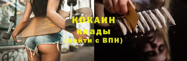 прущие грибы Вяземский
