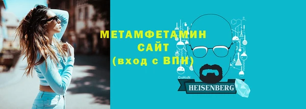 прущие грибы Вяземский