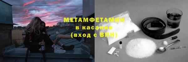 прущие грибы Вяземский