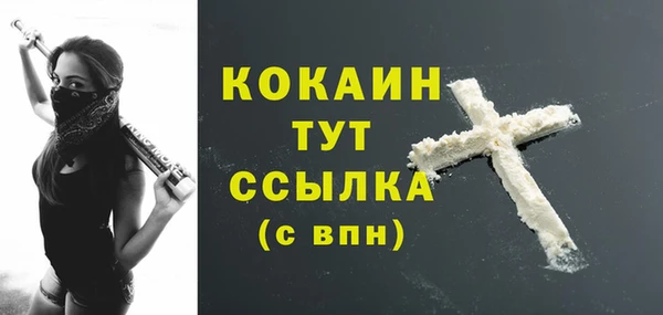 прущие грибы Вяземский