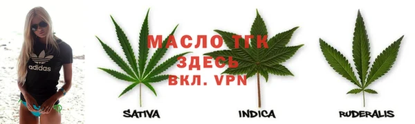 прущие грибы Вяземский