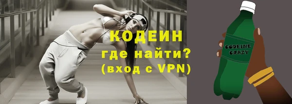 прущие грибы Вяземский