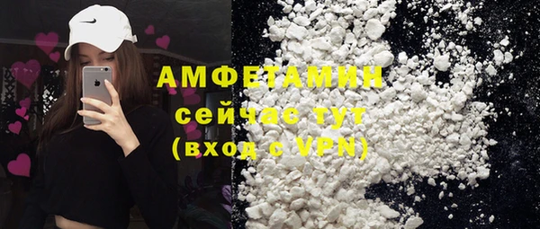 индика Вязники