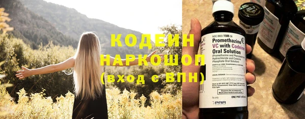 индика Вязники
