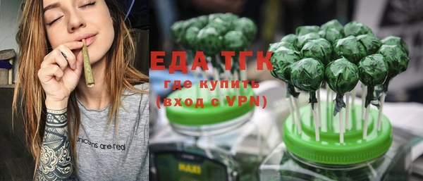 прущие грибы Вяземский