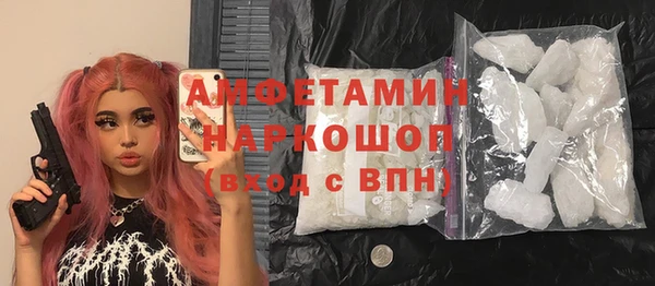индика Вязники
