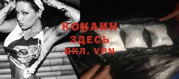 прущие грибы Вяземский