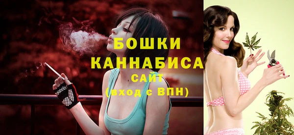 индика Вязники