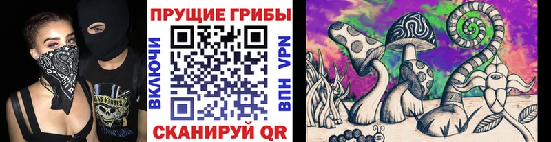 Купить закладки  Бронницы  Псилоцибиновые грибы GOLDEN TEACHER 